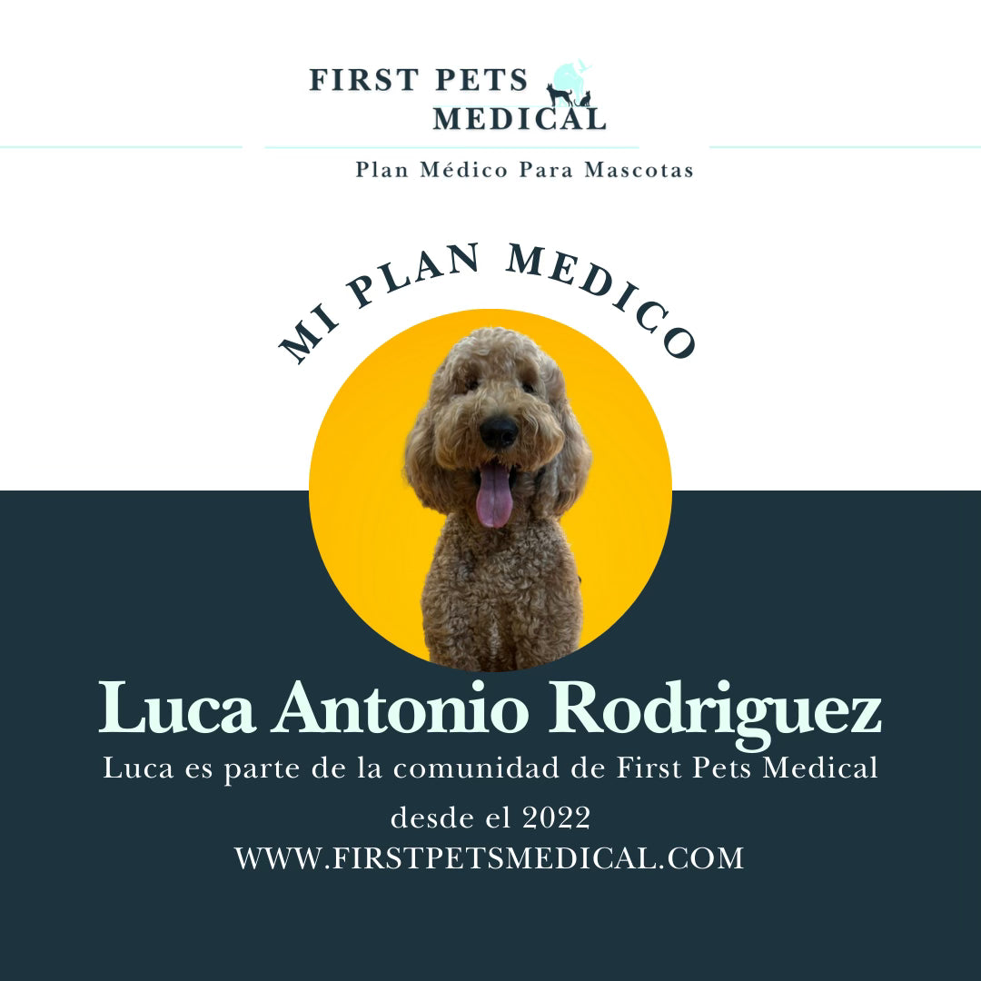 Pet Medical Health Plan