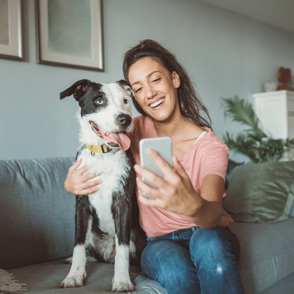 First Pets Medical
